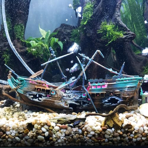 FANTIAN 40 lbs Aquarium Gravel, 1/4 Inch Fish Tank Pea Gravel, Decorative River Rocks Stone for Freshwater Tanks, Outdoor Pond, Garden, Landscaping, Terrarium, Soil Drainage - size: 1/4 Inch