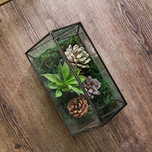 House Shape Close Glass Geometric Terrarium Tabletop Succulent Plant House Garden Planter Moss Fern Swing Lid, Flower Pot for Plants Succulent, Air Plant (Black) - color: Black