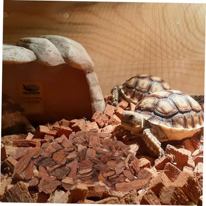Mikikit Natural Reptile Bark Bedding for Terrariums 1kg Decor Bark Chips for Tortoises Lizards and Snakes Substrate for Reptile Habitats