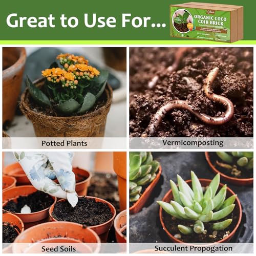 Riare 4pcs Organic Coco Coir Bricks Soil Blocks- 100% Natural Compressed Coco Peat Brick Coconut Fiber Substrate with Low EC& pH Balance, High Expansion Coco Coir Pith Coconut Husk for Garden - color: Pack of 4