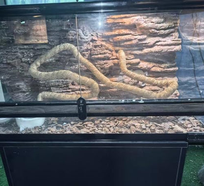 Natural Reptile Vines for Climbing, Jungle Vine for Terrarium Tanks, Reptile Branches for Chameleon, Gecko, Snake, Lizard - color: Brown