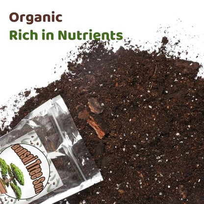 Doter Bonsai Soil Mix 2qt Ready to Use, Organic Bonsai Tree Soil Fits for Small Bonsai Pot, Suitable for Bonsai Seedling, Repotting, or Bonsai Starter Kit, black - size: 2qt