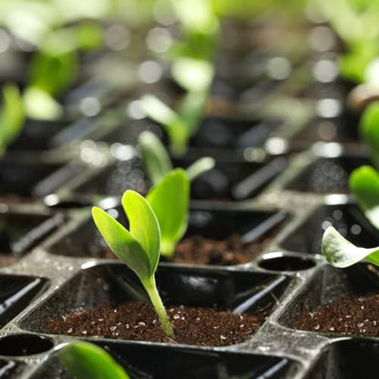 Seed Starting Soil Mix 1qt, Seed Starter Seedling Soil Ready to Use Suitable for Vegetable, Flower, Houseplant and Bonsai - color: Seedling Soil, size: 1qt