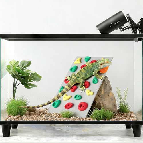 MITCHENIFY Climbing Wall for Reptiles, Reptile Tank Terrarium Accessories Habitat Decor for Bearded Dragons, Leopard Geckos, Lizards, Snakes, Tree Frogs, Amphibian Paludariums Enclosure Supplies