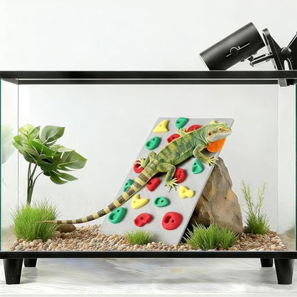 MITCHENIFY Climbing Wall for Reptiles, Reptile Tank Terrarium Accessories Habitat Decor for Bearded Dragons, Leopard Geckos, Lizards, Snakes, Tree Frogs, Amphibian Paludariums Enclosure Supplies