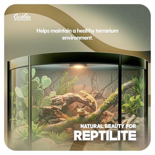 CaribSea Reptiles Calcium Substrate Sand - 20 lb Each - Natural White Sand for Reptile Terrariums, Promotes Healthy Habitat & Optimal Calcium Levels (Pack of 2) - size: 20lb (Pack of 2)