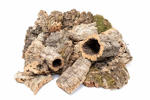 Assorted Virgin Cork Bark for Orchids, Reptiles & Terrariums – Natural Orchid Mounts, Vivarium Décor, Tarantula & Gecko Hides (5lbs) - style: 5 lbs mixed virgin cork bark