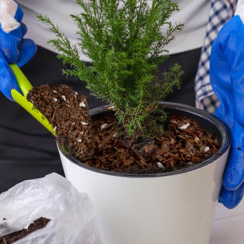 Doter Bonsai Soil Mix Ready to Use (1qt), Premium Fast Draining Organic All Purpose Potting Mix for All Varieties of Bonsai - size: 1qt
