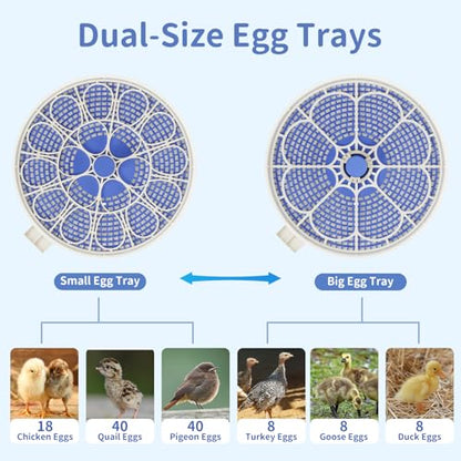 18 Egg Incubators for Hatching Eggs, Incubation Day Display, 2 Egg Trays, Automatic Egg Turning, Built-in Egg Candler, Auto Refill, Adjustable Air Vent, for Chicken, Quail, Duck, Turkey & Goose Eggs - size: 18 Eggs