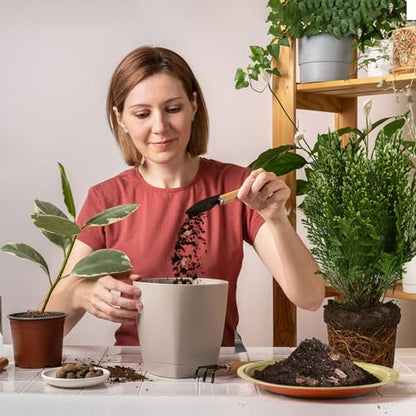 Doter Bonsai Soil Mix 4qt Ready to Use, Organic Bonsai Tree Soil Fits for Small Bonsai Pot, Suitable for Bonsai Seedling, Repotting, or Bonsai Starter Kit - size: 4qt