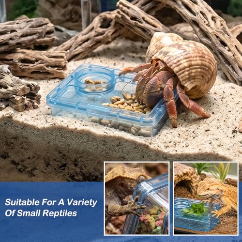 Reptile Anti-Escape Feeder, Transparent Blue Live Food Feeding Dish with Water Bowl, Escape Proof Feeding Container for Lizard Gecko Bearded Dragon Chameleon Spider Hermit Crab