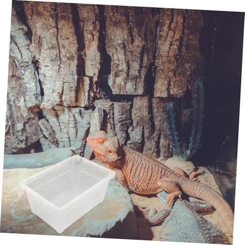 balacoo Reptile Feeding Box Transparent Breeding Container Lightweight and Enclosure for Display and Transport of Reptiles No Lid for Optimal Airflow