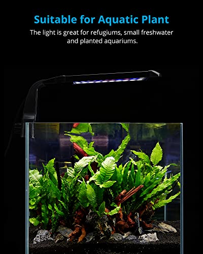 NICREW Clip on Aquarium Light, Fish Tank Light with White, Blue and Red LEDs, Planted Aquarium Light for Nano Tank, 2 Lighting Modes - size: For Plants