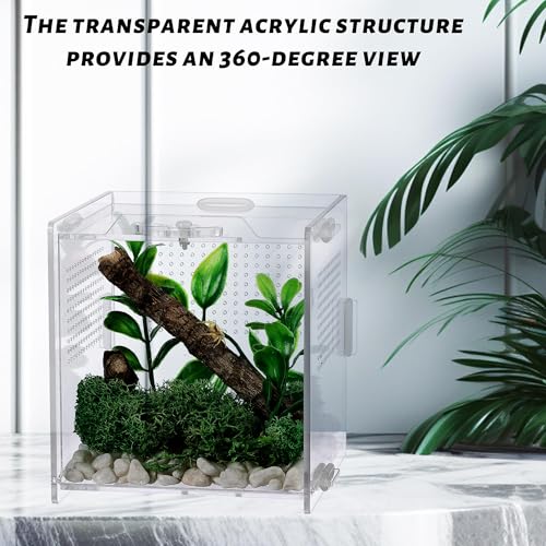 VERTUPET 4 Pack Jumping Spider Enclosure, 4''x4''x4'' Acrylic Arboreal Reptile Tank, 0.03” Ventilation Hole Habitat Transparent Enclosure Breeding Box with Locking Latch for Frog, Crickets, Snails