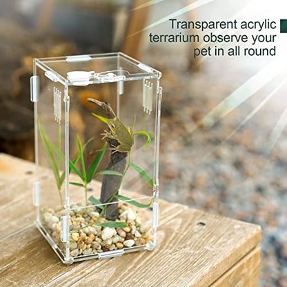 BETAZOOER Acrylic Mini Reptile Tank Habitat Transparent Terrariums with Locking Latch Suitable for Tarantula Isopod Roach Invertebrates (8''x6''x14'') - size: Large