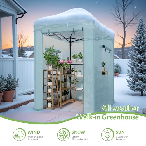 Greesum 6x4 FT Portable Small Greenhouse with PE Cover, Zippered Door and 2 Roll-up Windows, Easy Assemble(Green) - style: 6X4 FT