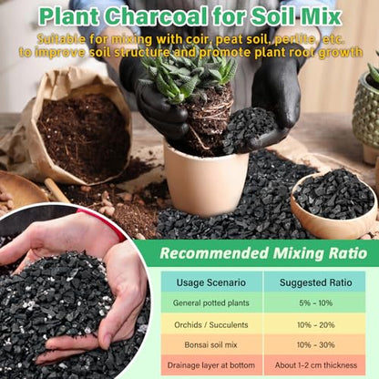 Legigo 6QT All Natural Horticultural Charcoal- Activated Hardwood Plant Charcoal for Soil Amendment, Conditioning Bonsai Soil, Succulent Soil, Terrarium Supplies, Indoor Plant Potting Soil - color: 6 QT