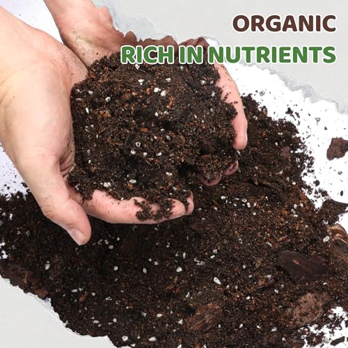 Doter Premium Snake Plant Soil Mix 2qt, Indoor Plants Potting Mix for All Potted Snake Plants, Promote Healthy Growth and Easy Care - size: 2qt