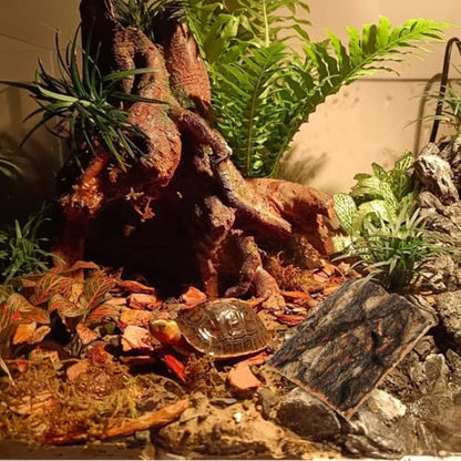 SOIMISS 5 Pcs Reptile Tank Background Cork Bark Sheets for Terrarium Tree Bark Decor Hide Log for Gecko Bearded Dragon Turtle and Lizard Enclosures 5.90 X 5.90 X 0.78 in