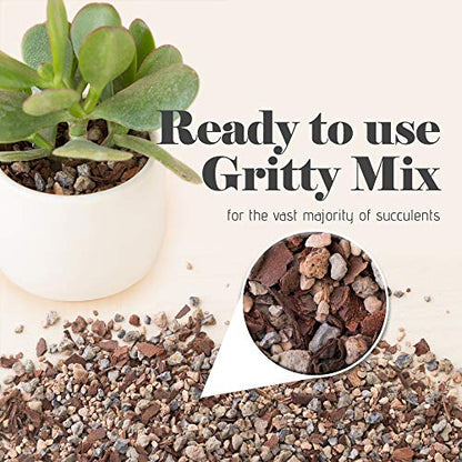 Bonsai Jack Succulent, Cactus and Bonsai Soil - Jacks Gritty Mix - 6 Gallons – Fast Draining – Fight Root Rot – Optimized pH - size: 6 Gallon (24 Dry Quarts)
