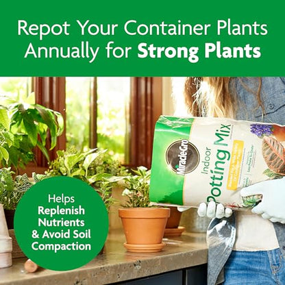 Miracle-Gro Indoor Potting Mix, Blended for a Variety of Houseplants, Feeds for up to 6 Months, 6 qt. - size: 6 qt.