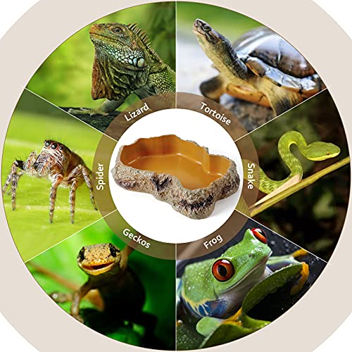 Reptile Food Water Resin Rock Bowls Lizard Gecko Worm Feeding Dish Large | Amphibian Feeder Bowl Terrarium Decor for Bearded Dragons, Chameleon, Leopard Gecko Frog Snake Hermit Crabs Turtle Spider Pet - size: Large