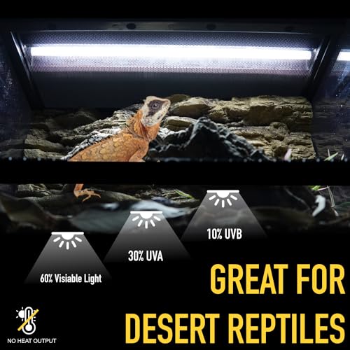 T5 UVB Reptile Light Tube, UVB10.0 24W T5 Lamp Tube for Reptiles, Bearded Dragon UVB Light, Terrarium Liner Bulb Bar for Lizard,Length 22'' (T5 UVB Tube, 24Watt) - color: T5 UVB Tube