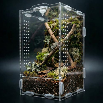 Jumping Spider Enclosure, Acrylic Reptile Terrarium | Tarantula Habitat, Lizard Box, Mantis Bug Cage