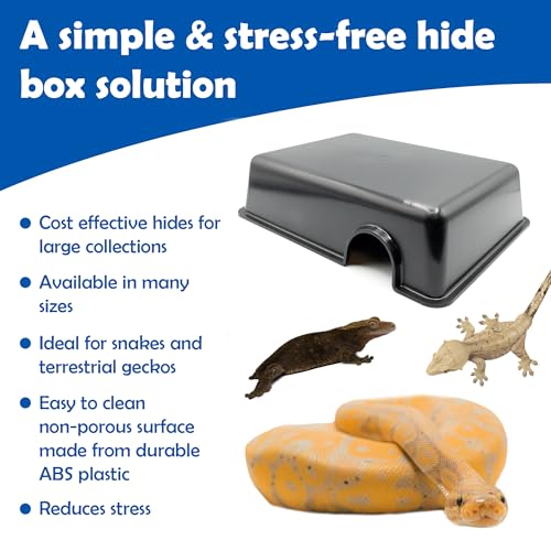Pangea Reptile Hide Box (C- Medium), Black - size: C- Medium