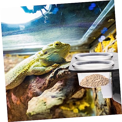 Reptile Feeder with Suction Cup Double Cup Food and Water Bowl for Lizards Geckos Bearded Dragons Easy to Clean and Install Feeding Tool for Crawling Pets