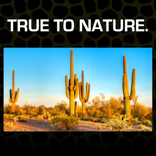 Exo Terra Desert Sand, 10-Pound, Black - color: Black, size: 10-Pound