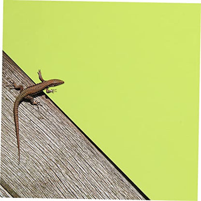 Happyyami 2pcs Non-Absorbent Reptile Carpet for Terrariums Bedding Liner for Bearded Dragons Snakes and Turtles for Tanks - size: 150X30CM