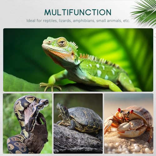 Luxbird Reptile Heating Pad 8x12 Inch with Dual Output Reptile Thermostat LB-2SC Combo Set Under Tank Terrarium Heating Mat for Turtles, Lizards, Frogs, and Other Reptiles