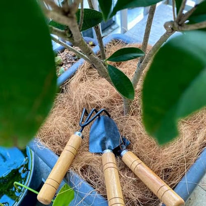 Natural Organic Coconut Husk Silk, Pure Coconut Shell Fiber Orchid Plant Coconut Fiber Substrate Coco Coir Fiber Greenery Covering (0.22 pounds)