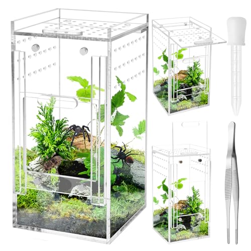 Mini Spider Enclosure, Windspeed 3x3x6’’ Acrylic Terrarium with Ventilation Jumping Spider Enclosure Cage Portable Micro Habitat Terrarium for Tarantula Lizards Gecko with Tongs, Dropper