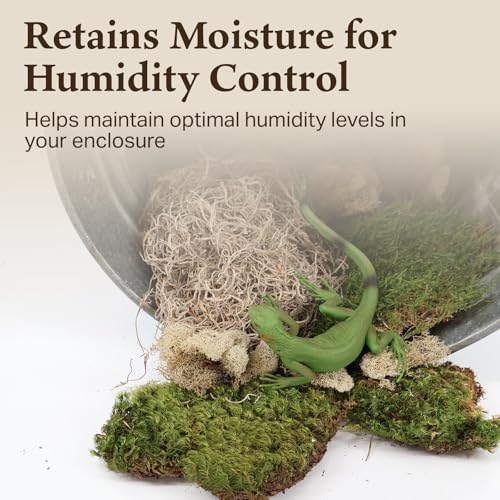 The Habitat Life - Natural Variety Pack - Mix of Reindeer, Mood, Sheet & Spanish Moss - for All Terrariums - Humidity Control - Breathable Bedding - Dye-Free & Safe - Small - 1 Pack - size: Small, style: Variety Pack