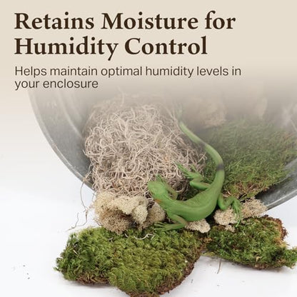 The Habitat Life - Natural Variety Pack - Mix of Reindeer, Mood, Sheet & Spanish Moss - for All Terrariums - Humidity Control - Breathable Bedding - Dye-Free & Safe - Small - 2 Pack - size: Small (2-Pack), style: Variety Pack