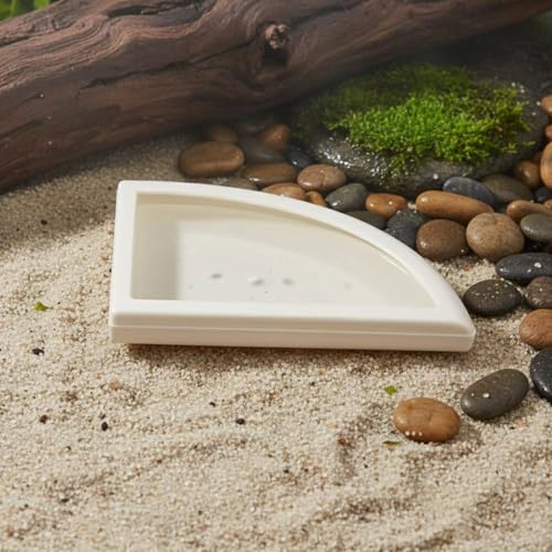 Split Design Reptile Bowl Multi-Functional Corner Reptile Food Bowl Material Terrarium Accessory, L - size: L