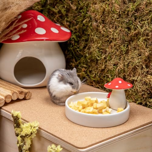 Niteangel Hamster Feeding & Water Bowls- Mushroom Ceramics Series Food Dish Feeding Bowls for Dwarf Syrian Hamsters Gerbils Mice Rats or Other Similar-Sized Small Pets (Feeding Bowl) - size: Feeding Bowl