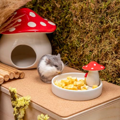 Niteangel Hamster Feeding & Water Bowls- Mushroom Ceramics Series Food Dish Feeding Bowls for Dwarf Syrian Hamsters Gerbils Mice Rats or Other Similar-Sized Small Pets (Feeding Bowl) - size: Feeding Bowl