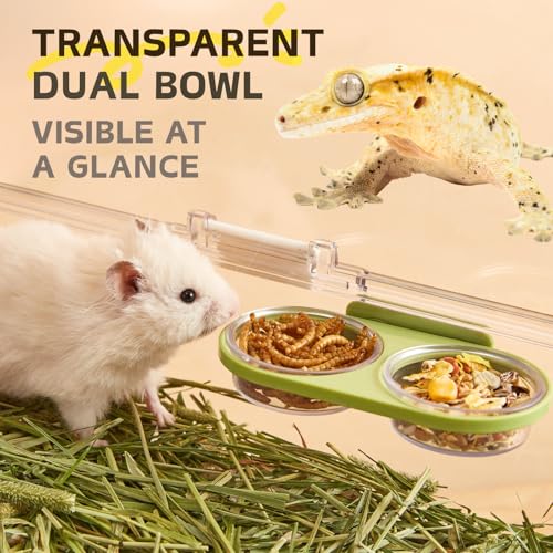 Magnetic Reptile Feeding Ledge with 2 Pack Plastic Bowls Food Feeder Water Dish for Crested Gecko Dwarf Hamster (Green, Magnetic-Mounted) - color: Green(Pack of 1）