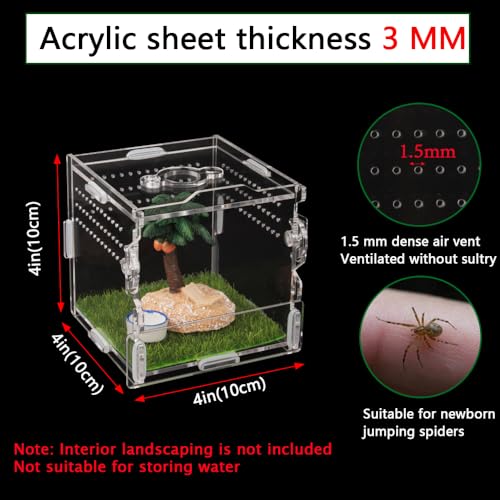 Jumping Spider Enclosure 4x4x4 Acrylic Clear Cage - color: Transparency-Basic