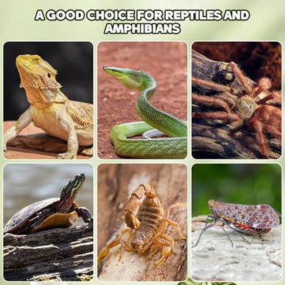 SHINEOFI 14pcs Cork Bark Reptile Decor Natural Tree Bark Climbing Platforms for Gecko Lizard Snake Spiders Tank Terrariums Turtle Tanks Decor,Random Shape