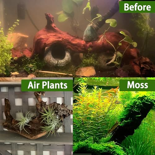 Tfwadmx Natural Driftwood Aquarium Decor Wood Branches, 3 Pieces 7-9.5" Fish Tank Driftwood Decoration, Terrarium Mopani Wood for Aquarium Freshwater Reptile Tank - size: Medium: 7-9.5"（3Pcs）