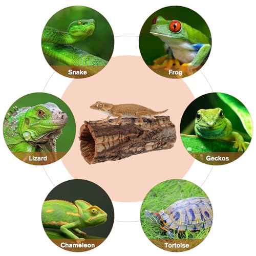 BESPORTBLE Reptile Hideout Wood Shelter Natural Tree Trunk Reptile Cave for Gecko Snake Tortoise Lizard Turtle and Hermit Crab Stress Relief Terrarium Habitat Decor 8.07X3.14X3.14In
