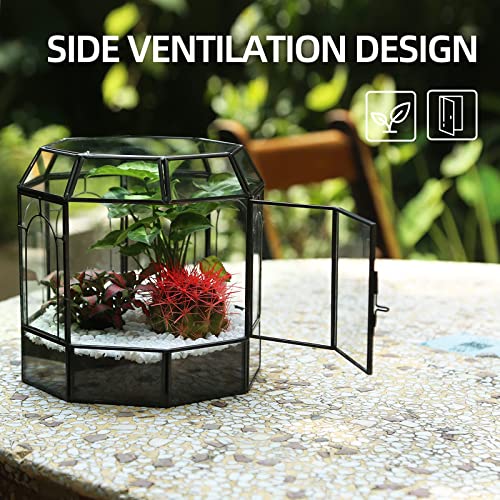 REDHUGO Large Glass Terrarium Handmade, Centerpiece Display Box Gift Planter Containers Indoor Terrariums House for Succulent Cacti Air Plants Miniature Fairy Garden - color: Black