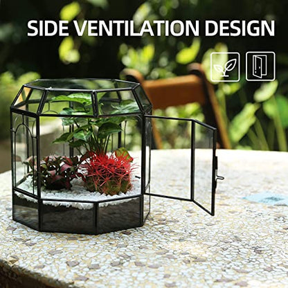REDHUGO Large Glass Terrarium Handmade, Centerpiece Display Box Gift Planter Containers Indoor Terrariums House for Succulent Cacti Air Plants Miniature Fairy Garden - color: Black