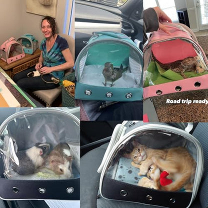 Guinea Pig Carrier Backpack, Clear Bubble Window Backpack for Guinea Pig, Bunny Rat Bird (Blue, Carrier) - color: Blue