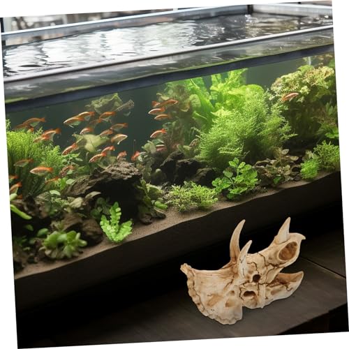 POPETPOP Resin Dinosaur Skull Aquarium Hideout for Shrimp and Reptiles Tank Decor for Freshwater and for Terrarium Landscapes and Boys and Girls Rooms