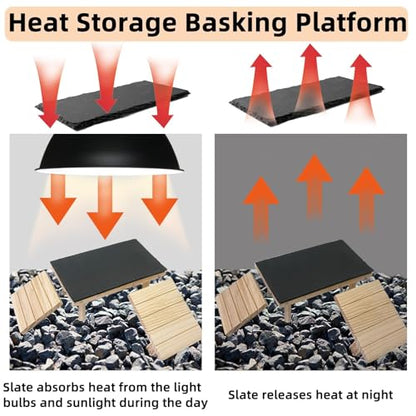 Bearded Dragon Platform Wooden Reptile Hideout Cave Climbing Tank Accessories with Reptile Basking Rock for Leopard Gecko Lizard Tortoise (Small, 9.8 × 5.9 Inches) - size: Small